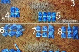 蓝色警戒保护电厂战术，1.  位置是关键